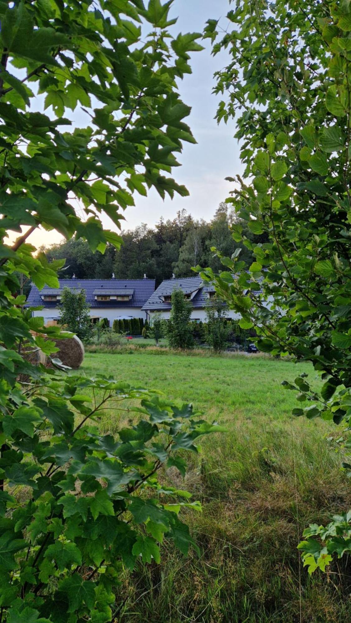 Widokowo - Domki Z Widokiem Na Sniezke Z Jacuzzi I Sauna Karpacz Exterior photo
